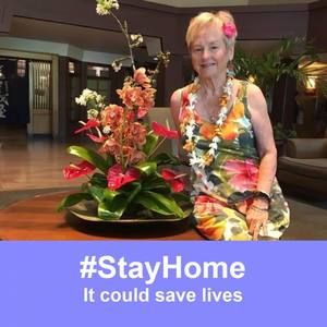 Meet your Posher, Sue